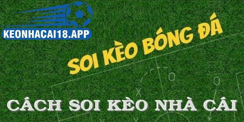 Hướng dẫn cách soi kèo nhà cái